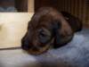 Photo Number 7