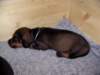 Photo Number 6