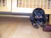 Photo Number 13