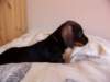 Photo Number 11